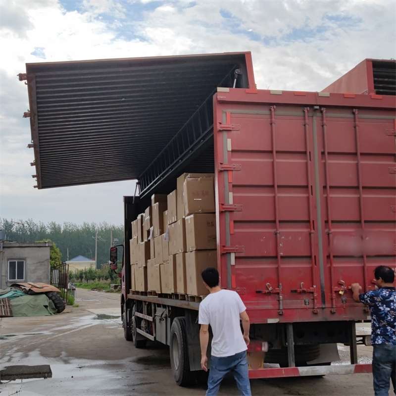东区扎囊县：物流专线的高效货运之旅